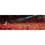 30-09-2016 - MCS Marketing - Matthias Reim - banner.jpg